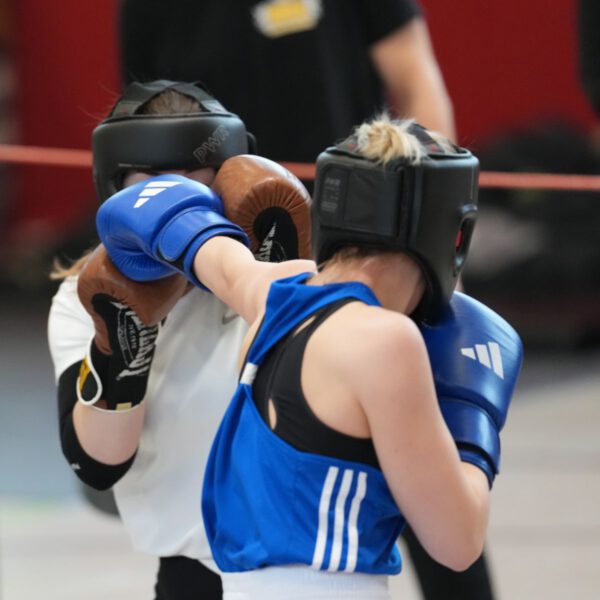 Boxsparing Turnier International Zittau 2026 (62)