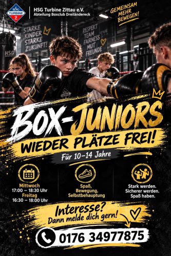 Box-Juniors-2026-II